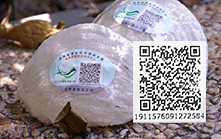 解析溯源码燕窝与普通燕窝的区别