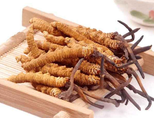 虫草批发价格公司说说虫草的效果