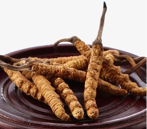 冬虫夏草搭配食用的禁忌有那些？虫草批发价格厂家说说