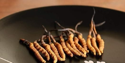 虫草批发价格厂家介绍关于虫草的误区