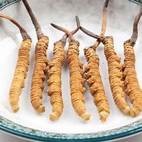 能用水洗冬虫夏草吗？
